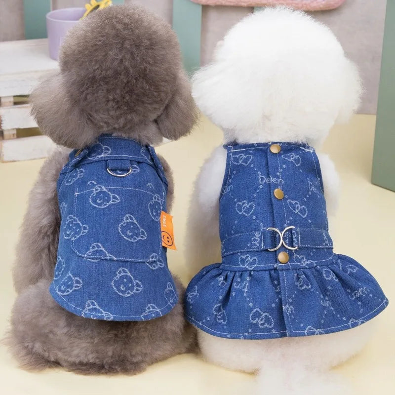 A fluffy gray dog wearing a blue denim harness dress with a D-ring, next to a white fluffy dog.
