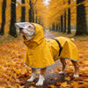 A golden dog wearing a yellow durable raincoat walking down a path lined with autumn trees.