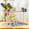 A wooden multi-level bird activity center featuring a perch and hammock for birds.