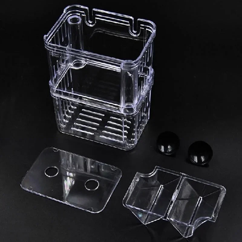 Un bac d'isolement en plastique transparent pour la reproduction des guppys, avec une pièce transparente séparée.