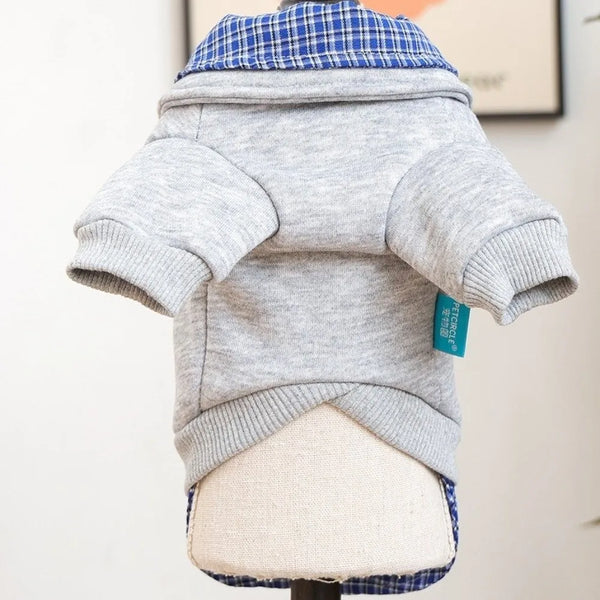 Gray and blue plaid dog hoodie with a matching collar shown from the back on a mannequin.