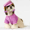 Ein kleiner Hund mit rosa Pflegevest und lila Haarbändeln.