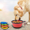 A golden dog is eating from a bright orange silicone portable travel bowl outdoors.