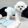 A fluffy white dog wearing a light blue summer lightweight polo dress and matching bottoms.