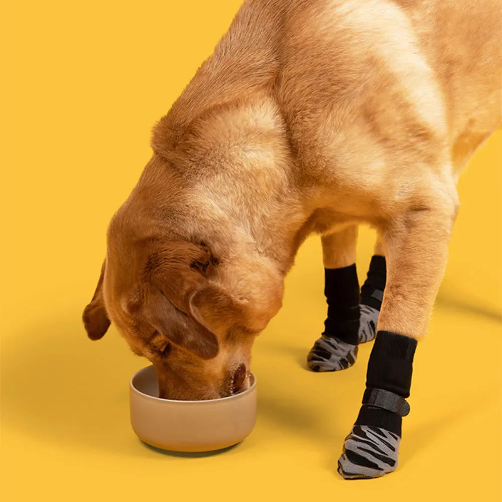 A light brown dog is using a beige bowl, with non-slip socks visible on its paws.