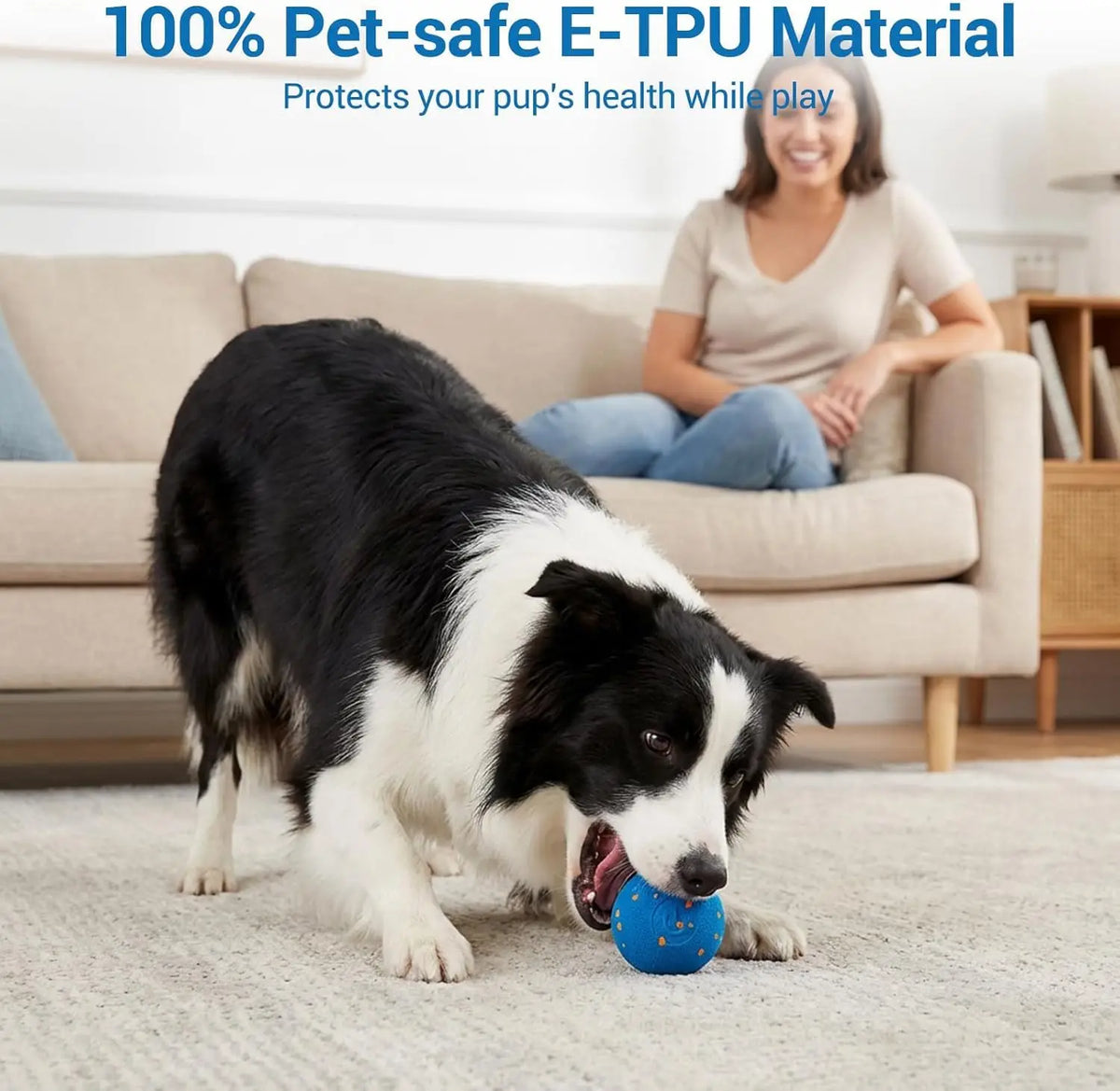 A black and white dog is playing with a blue pet ball on a light-colored rug.
