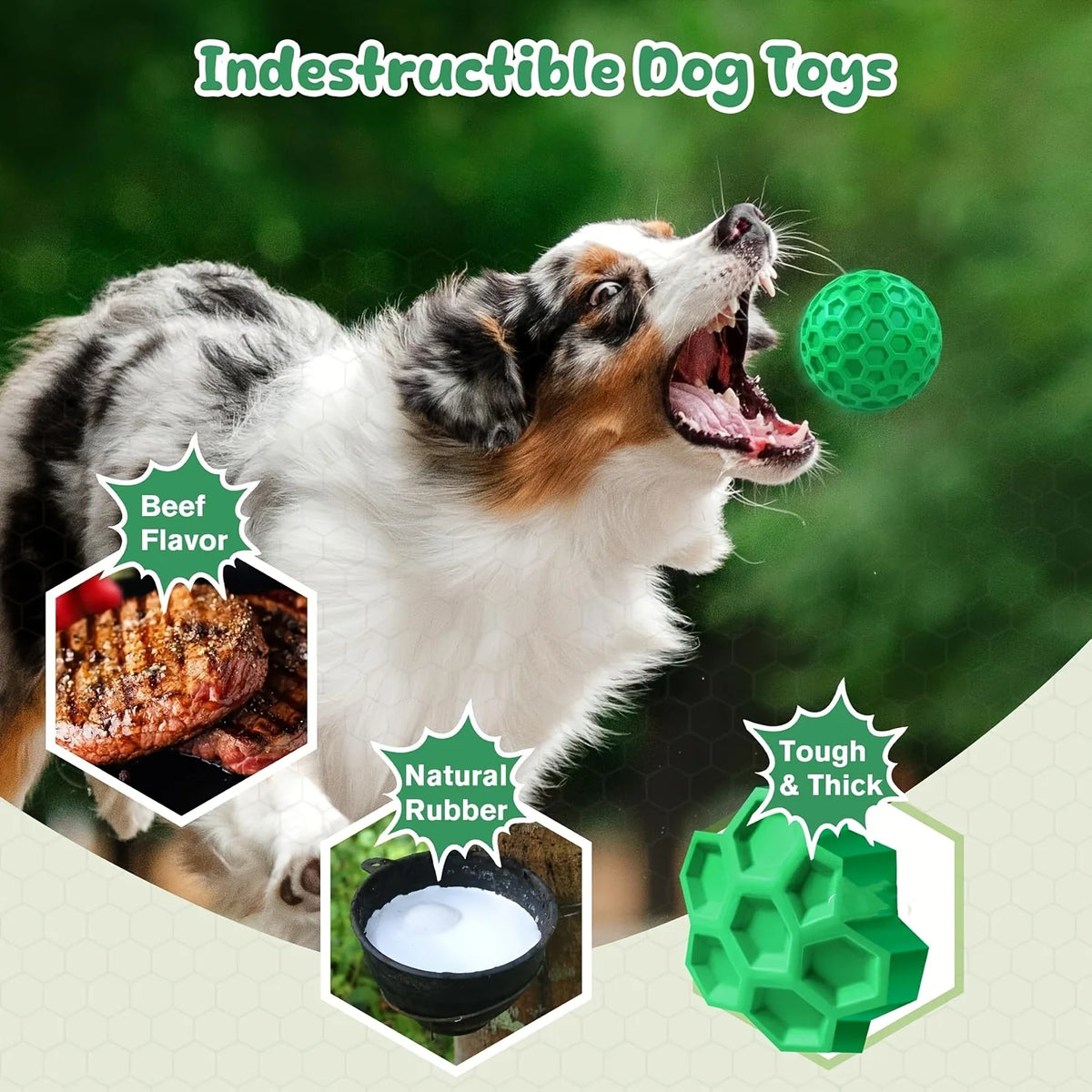 Un perro muerde felizmente un juguete chirriante verde, destacando el sabor a carne y el material de caucho duro.