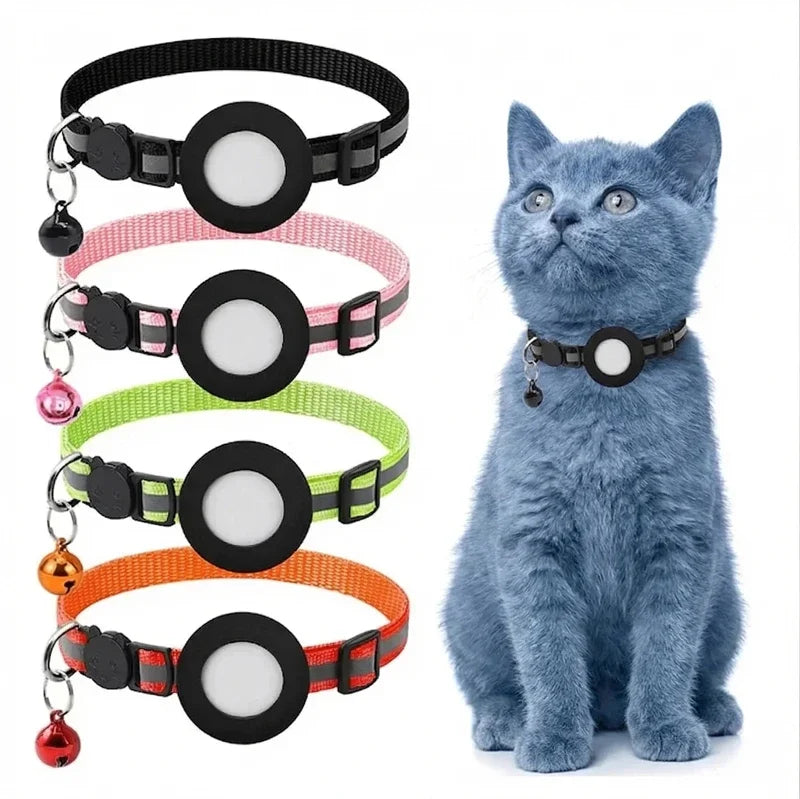 A blue cat wearing a black collar with a reflective tag holder and breakaway buckle.