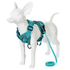 A white dog wearing a teal harness and attached to a green leash.