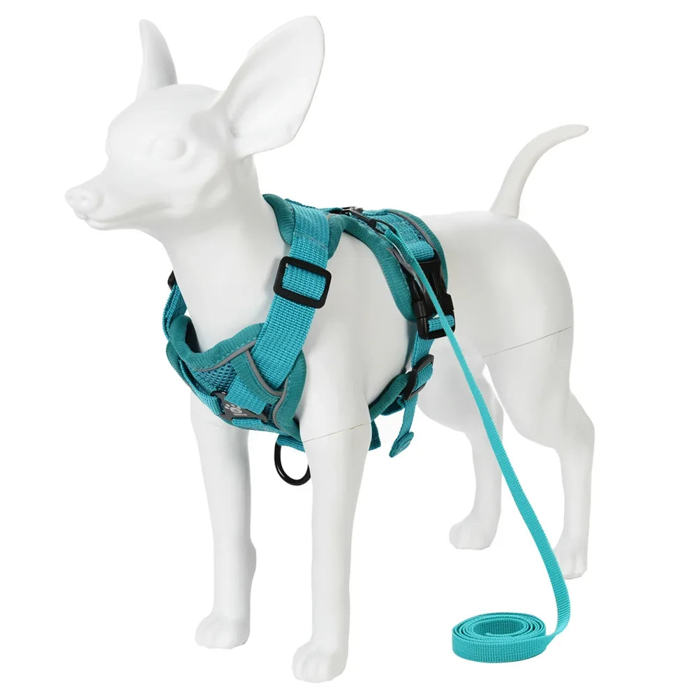 A white dog wearing a teal harness and attached to a green leash.
