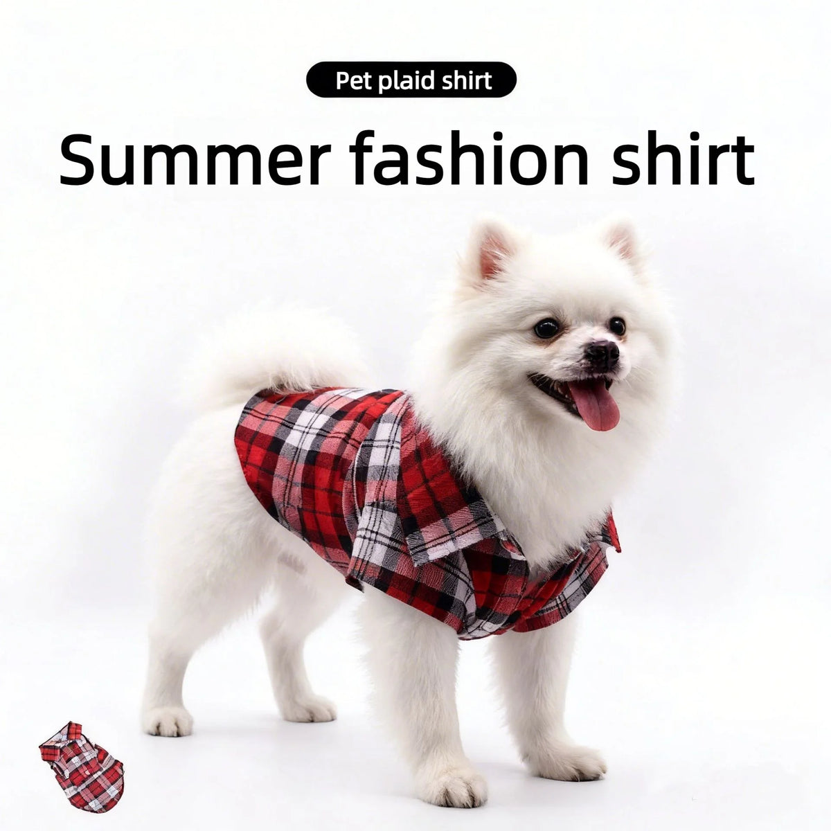 A white fluffy dog wearing a red and black plaid shirt for summer fashion.