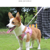 A small, tan and white dog wearing a pink mesh harness with reflective strips in a grassy outdoor setting.