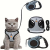 A fluffy gray kitten wearing a breathable mesh pet harness and leash set.