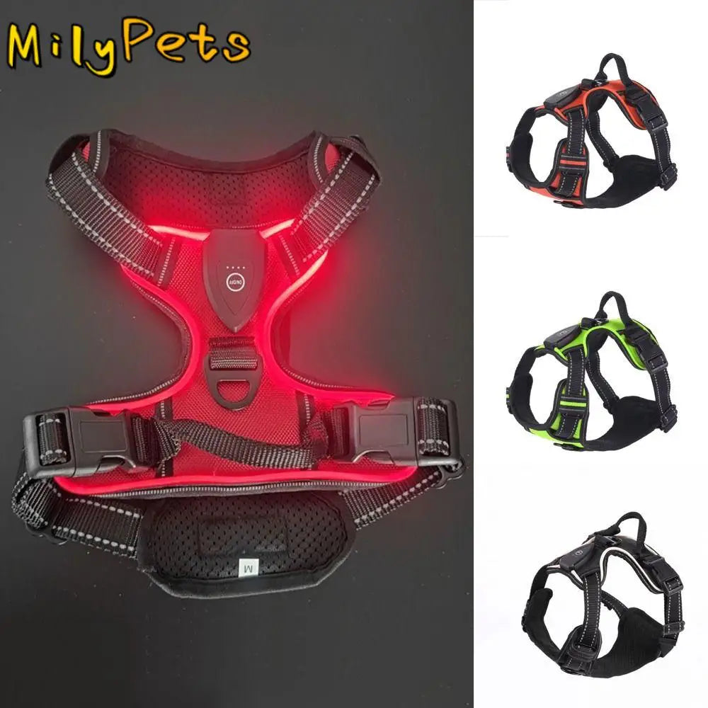 A red LED dog harness with reflective strips shown against a black background.
