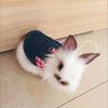 Ein weißer Hase in einem Jeans-Kaninchenkostüm mit roten karierten Akzenten liegt auf einer hellen Holzoberfläche.
