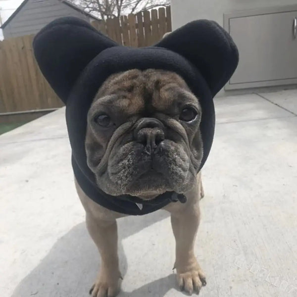 A fawn-colored dog wearing a black fleece winter hat with large ears, standing outdoors.