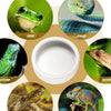 A collection of reptile feeding bowls including a frog, snake, lizard, gecko, tortoise, and chameleon.
