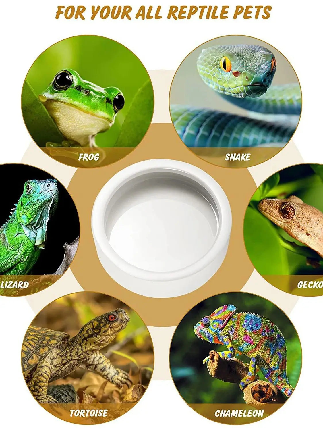 A collection of reptile feeding bowls including a frog, snake, lizard, gecko, tortoise, and chameleon.