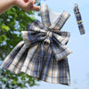 A plaid dog dress-up harness and clothes are being held by a hand against a bright blue sky.