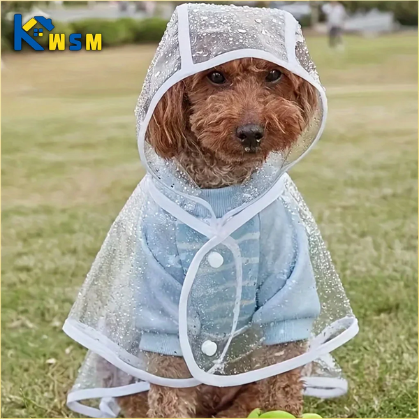A brown dog wearing a clear plastic raincoat while sitting on green grass.