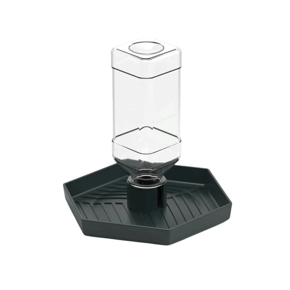 A clear glass automatic reptile water dispenser bowl with a dark gray base.