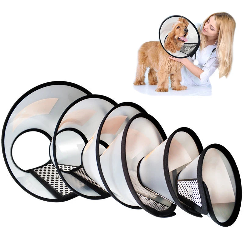 A set of clear PVC pet recovery collars for dogs and cats, shown alongside a dog wearing one.