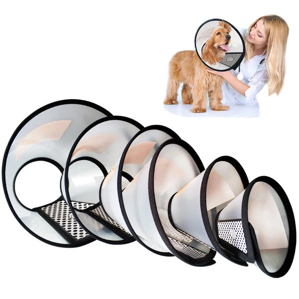 A set of clear PVC pet recovery collars for dogs and cats, shown alongside a dog wearing one.