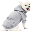 A white dog wearing a gray zippered hoodie with a hood and pocket.