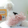 A fluffy white dog wearing a pink lace pet dress with orange trim.