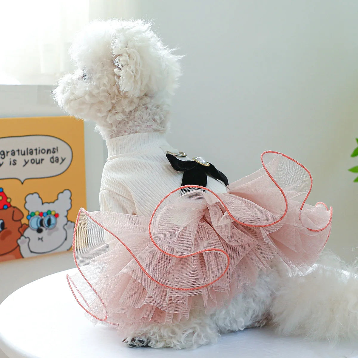 A fluffy white dog wearing a pink lace pet dress with orange trim.