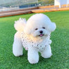 A fluffy white dog wearing a pet dress with black polka dots sitting on green grass.