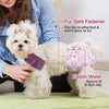 Un adorable chiot blanc et duveteux porte un sac absorbant rose avec ceinture élastique et fermeture sécurisée pour la fourru
