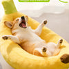 A happy dog is relaxing in a yellow banana-shaped plush pet bed.