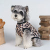 A small, fluffy dog wearing a leopard print vest, sitting on a white surface.