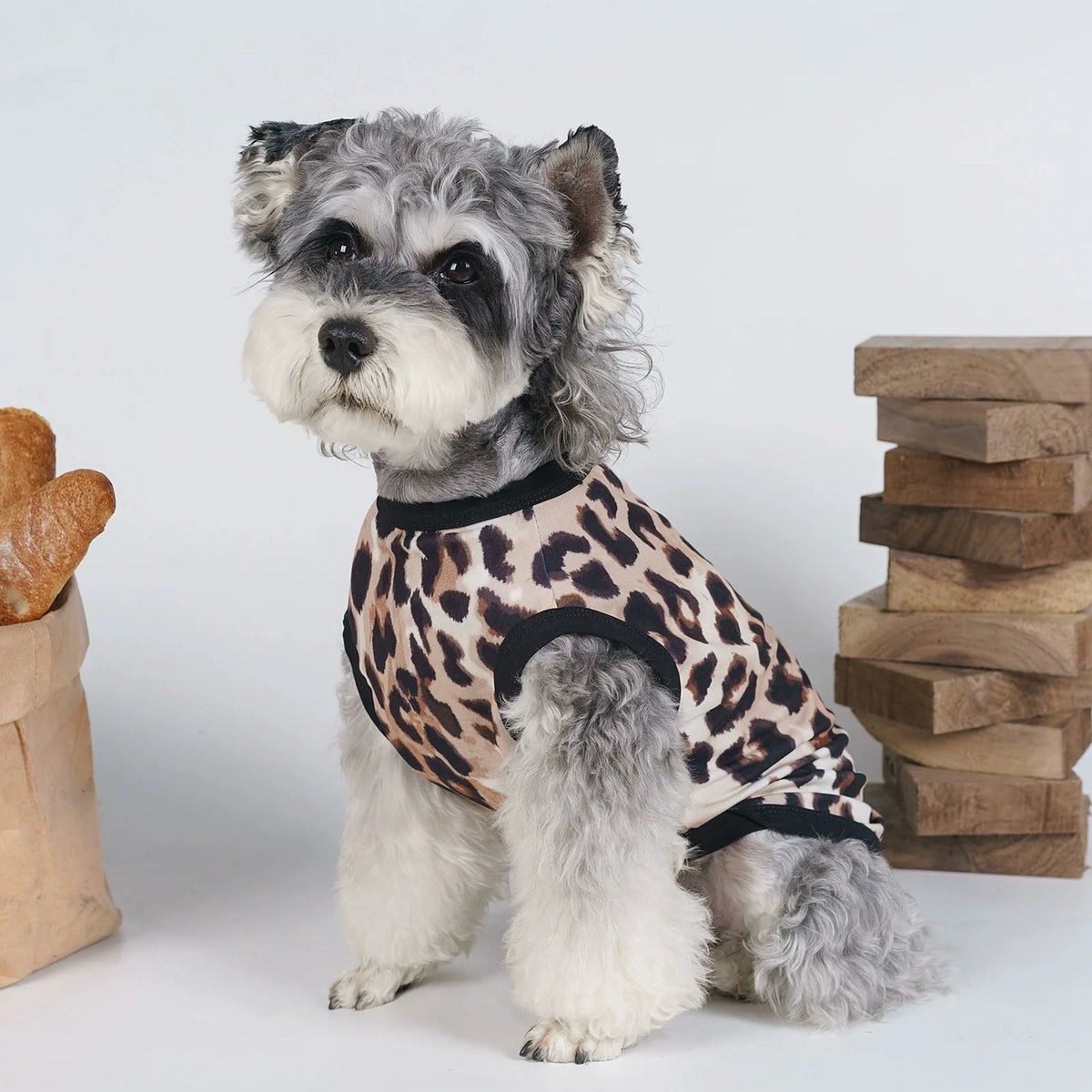 A small, fluffy dog wearing a leopard print vest, sitting on a white surface.