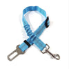 Blue nylon harness and seat belt for a dog, featuring an adjustable strap and metal clip.