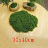 A pile of vibrant green preserved moss on a wooden surface with potted moss samples.