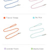 A collection of reflective nylon dog leashes in various colors including ultramarine blue, cherry blossom pink, tropical oran