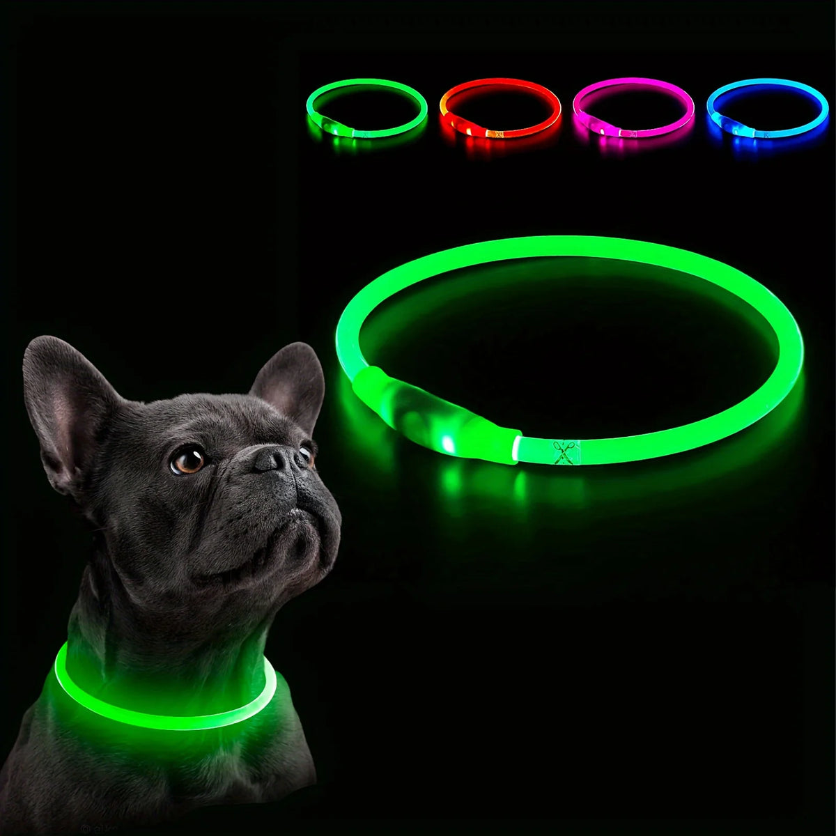 Un chien noir portant un collier LED vert lumineux, avec plusieurs anneaux de lumière colorée à proximité.