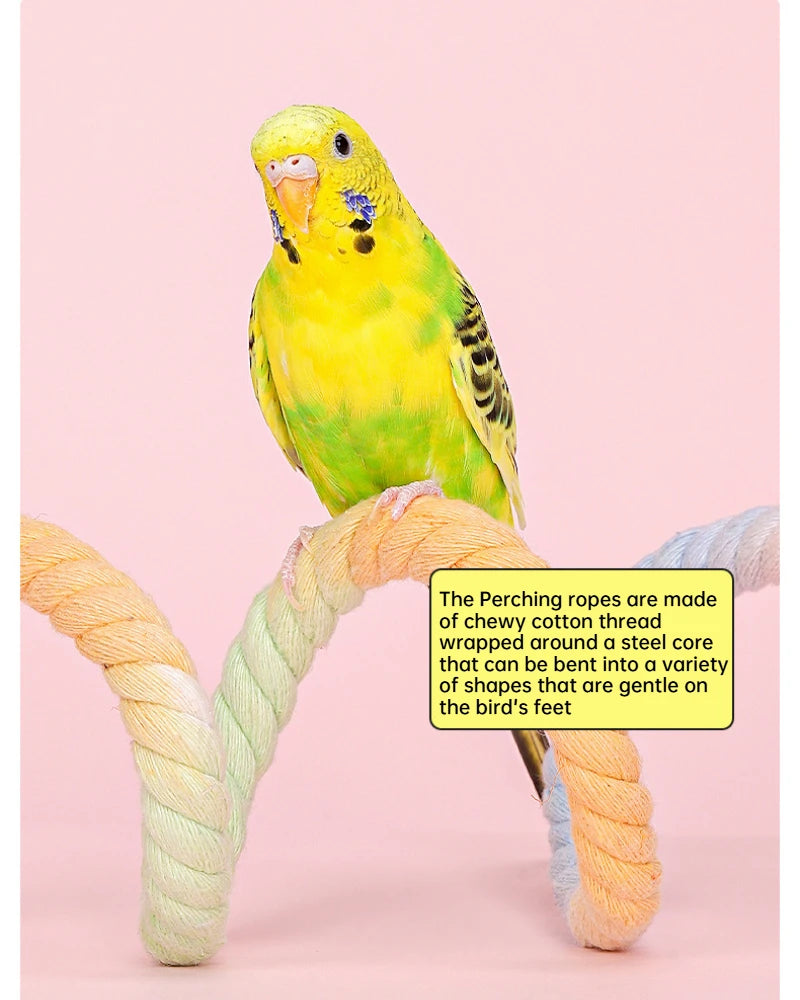 Ein gelb-grüner Vogel sitzt auf einem farbenfrohen, gradienten Kletterseil.