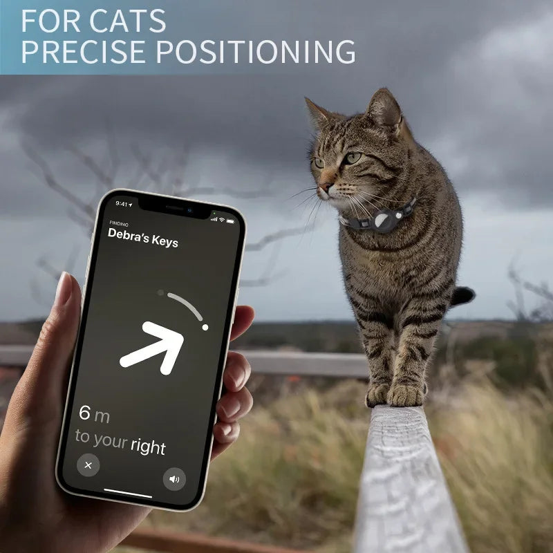 A tabby cat is positioned on a railing while a person uses a smartphone app to guide the cat for precise positioning.