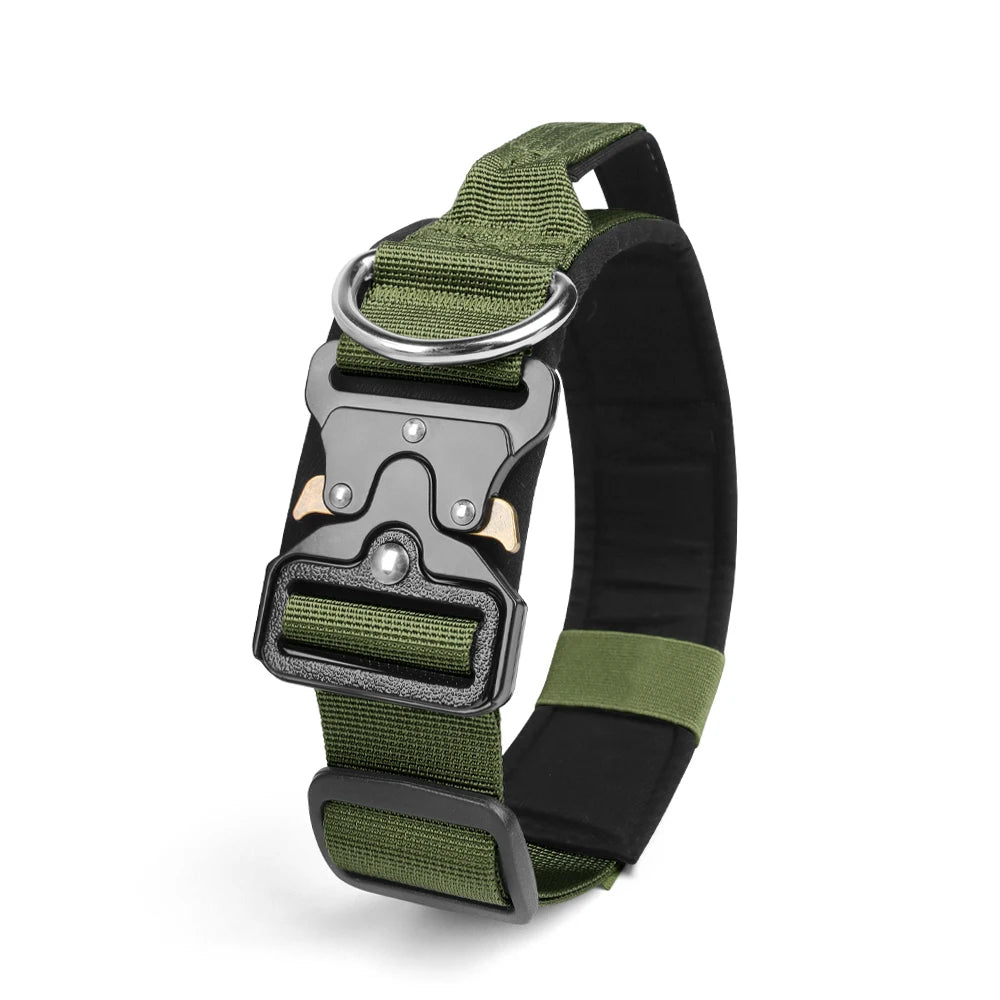 A durable tactical dog collar featuring olive green and black nylon webbing and a silver buckle.