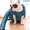 A white and black French Bulldog is shown inside a teal drying bag, with a power cord visible below.