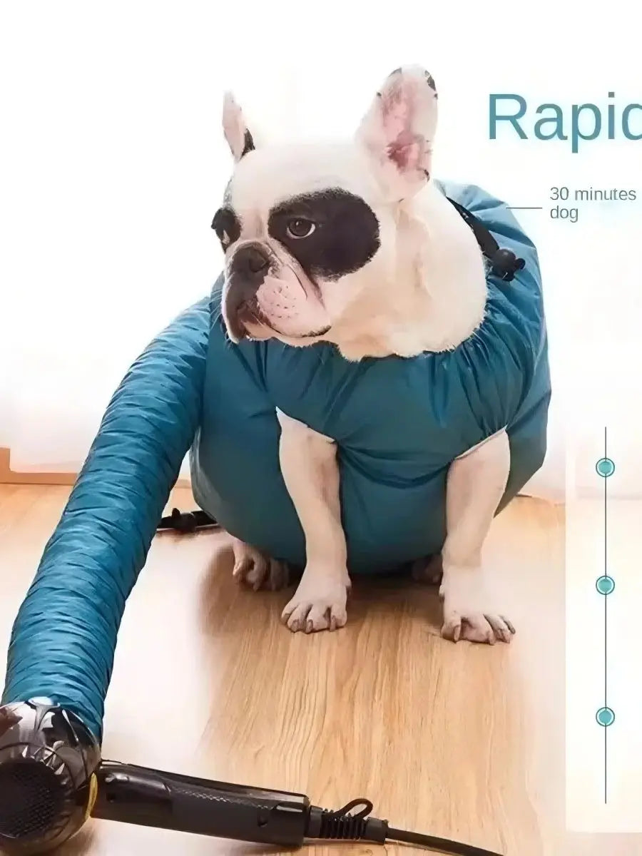 A white and black French Bulldog is shown inside a teal drying bag, with a power cord visible below.