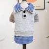 A light gray knitted dog sweater with a blue plaid collar and matching blue plaid trim on the bottom edge.