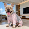 A light pink dog suit with grey accents is shown on a dog indoors in a modern living room.