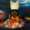 A fluffy white dog wearing an orange and silver Halloween princess dress with a bow against a dark blue background.