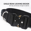 Black Eagle beak locking design tactical dog collar with silver ring and buckle