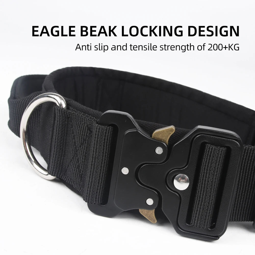 Black Eagle beak locking design tactical dog collar with silver ring and buckle