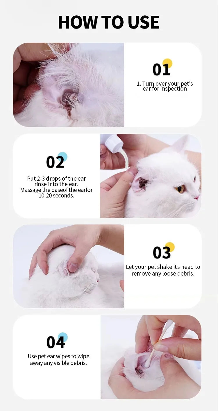 Guide en quatre étapes pour utiliser une solution naturelle de nettoyage pour l'oreille d'un chat.